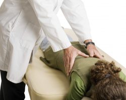 Chiropractor doing adjustment on female patient.  White background.